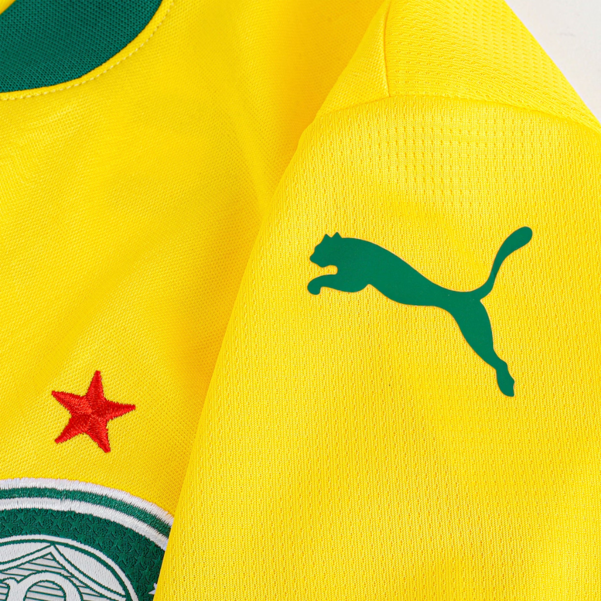 Camisa Palmeiras III 25/26 Torcedor Puma Masculina